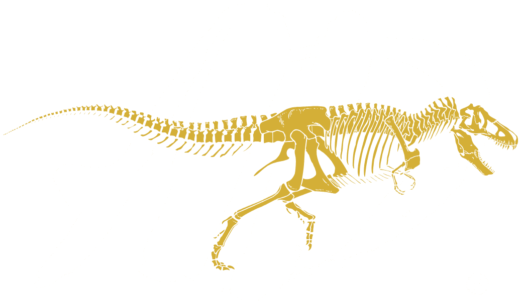 Admx Dev